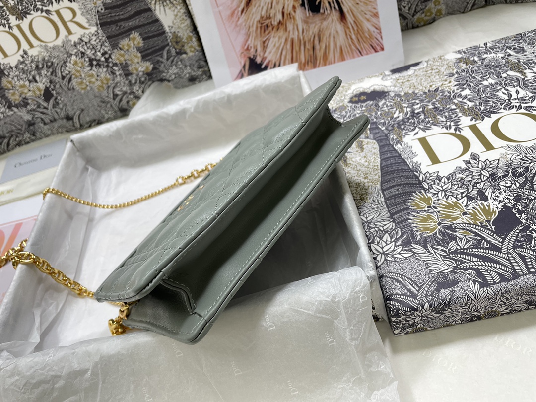 D*or caro zipped pouch with chain