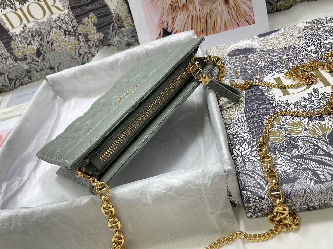 D*or caro zipped pouch with chain