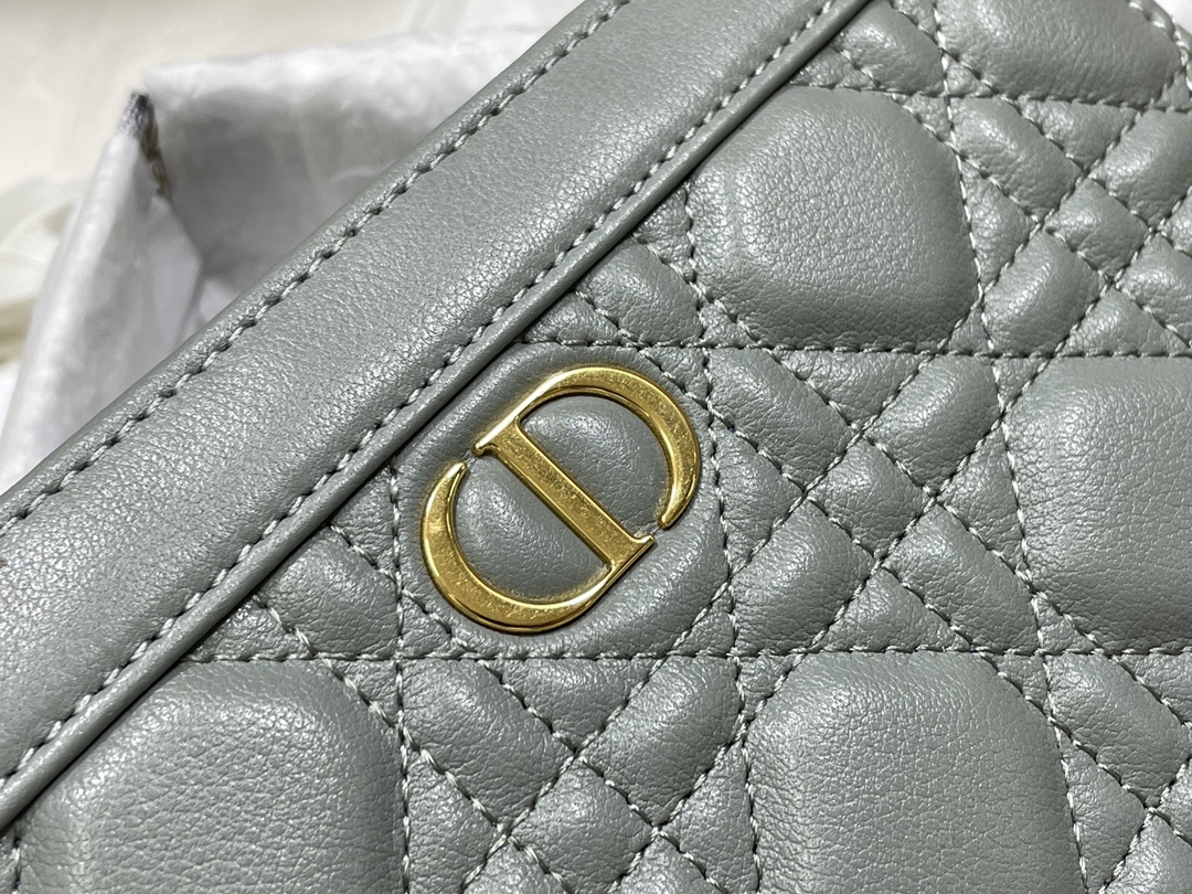 D*or caro zipped pouch with chain