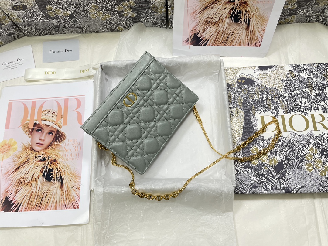 D*or caro zipped pouch with chain