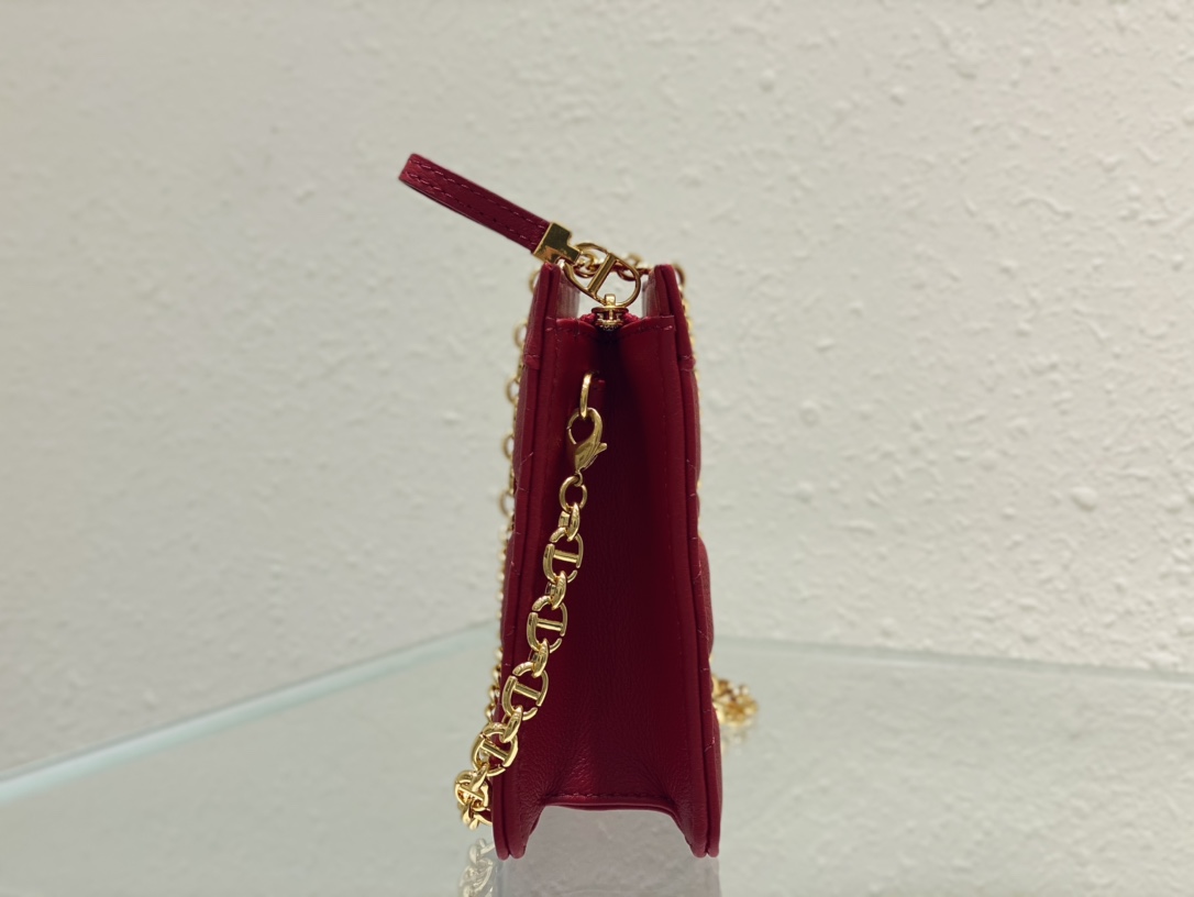 D*or caro zipped pouch with chain