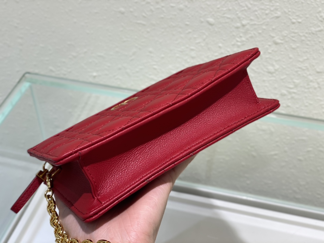 D*or caro zipped pouch with chain