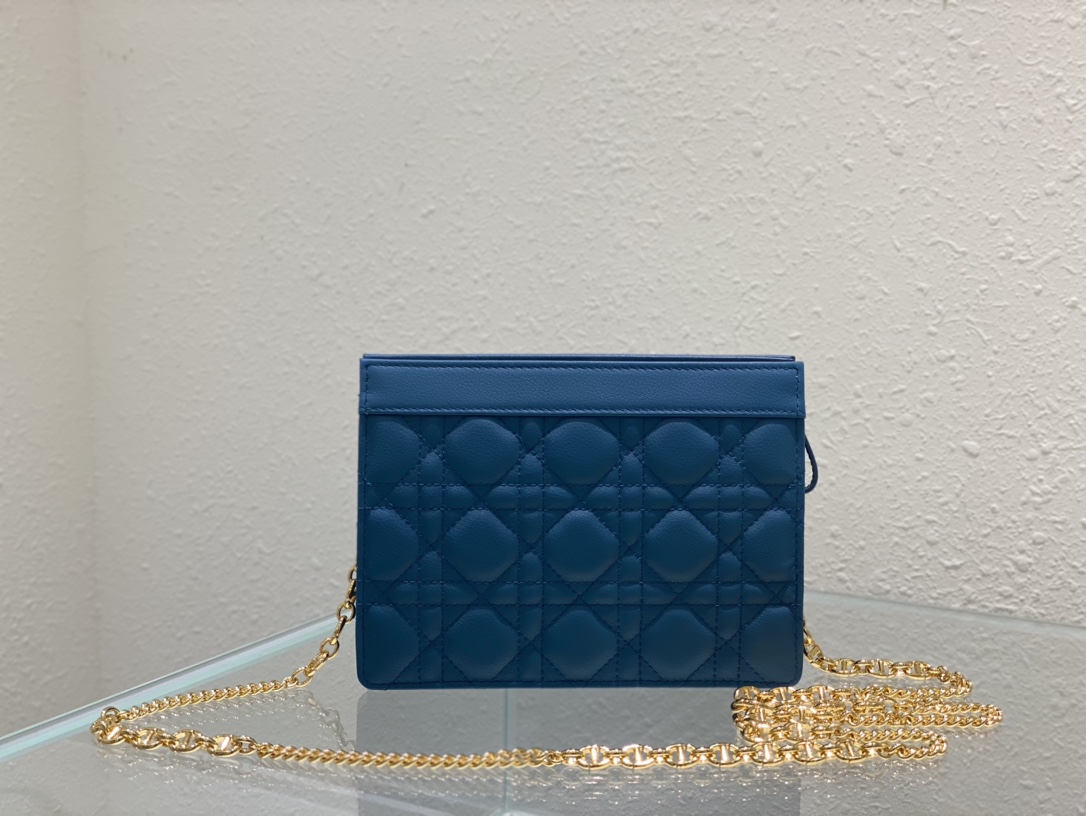 D*or caro zipped pouch with chain
