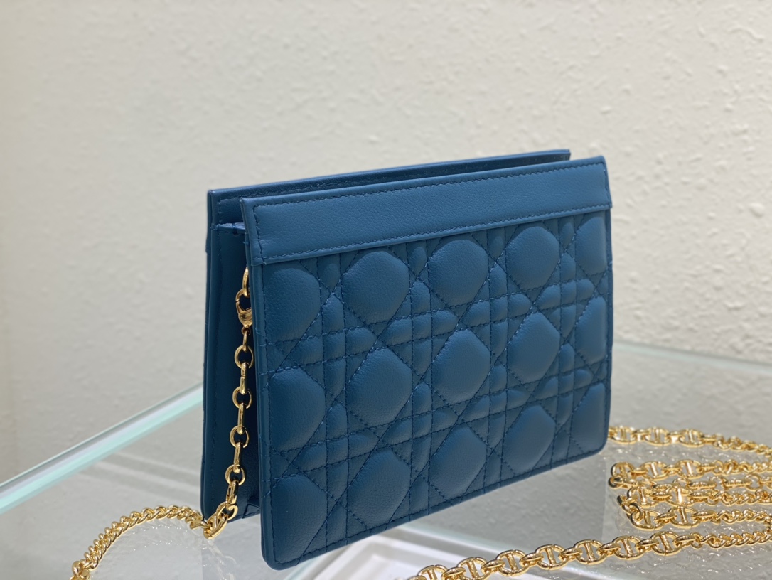 D*or caro zipped pouch with chain