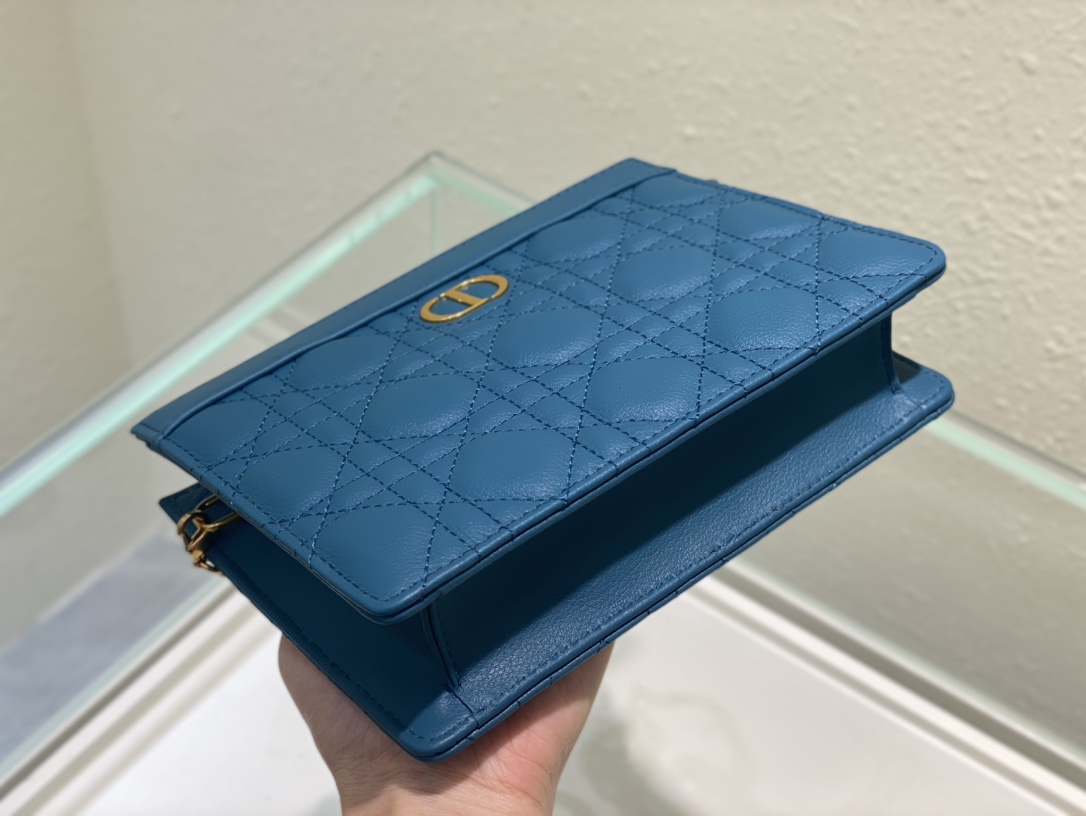 D*or caro zipped pouch with chain