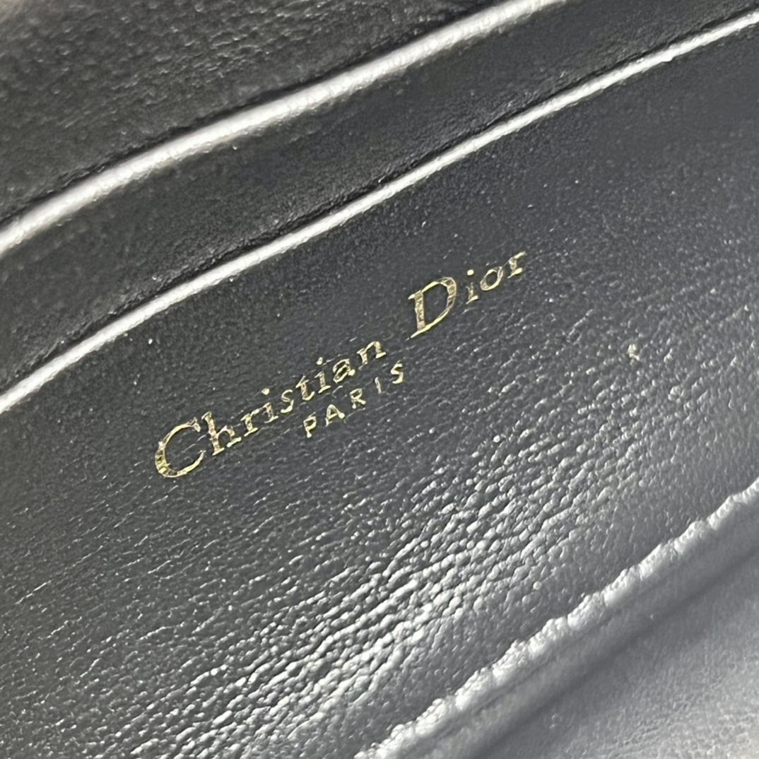 lady D*or phone pouch