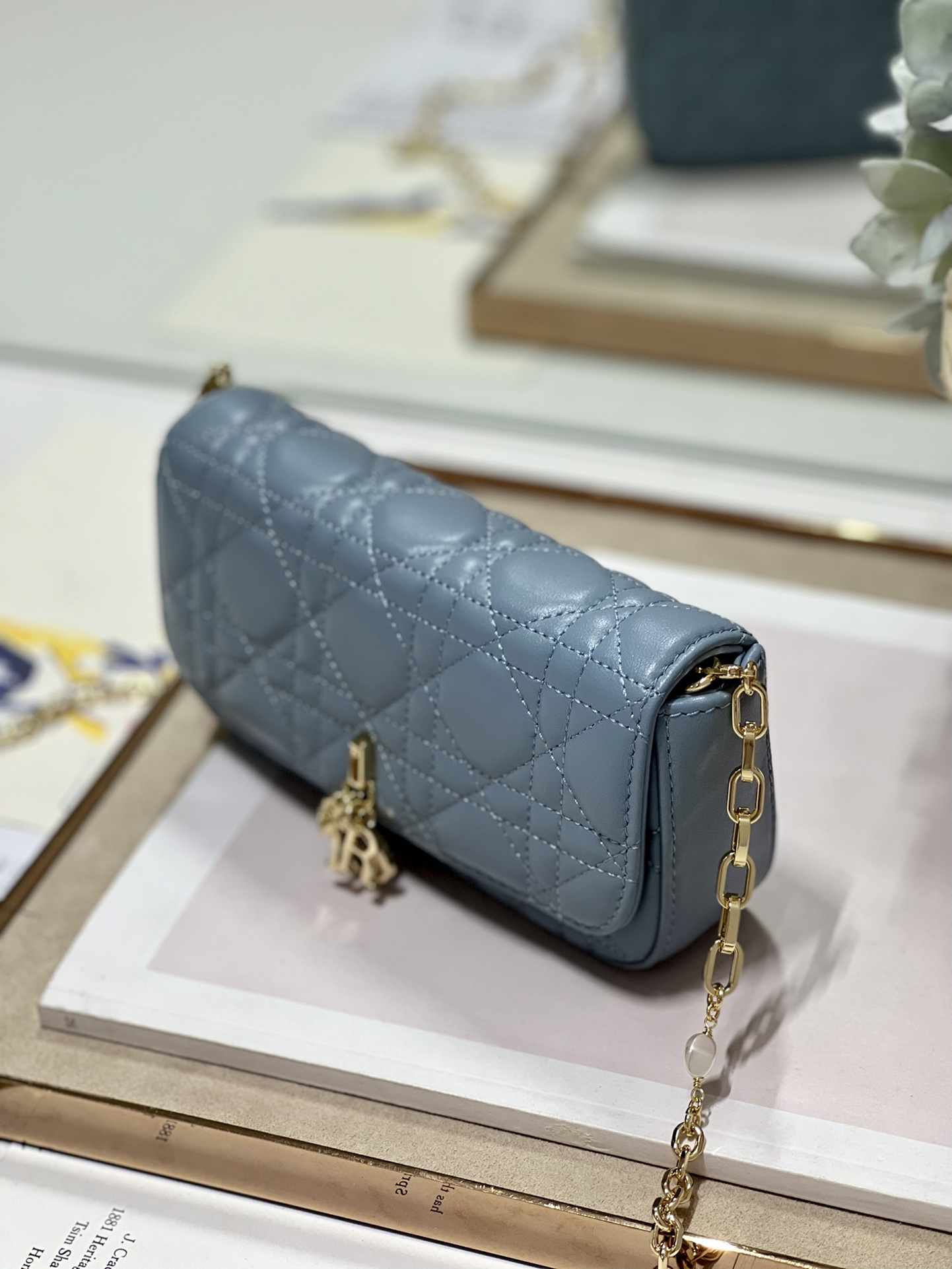 lady D*or phone pouch