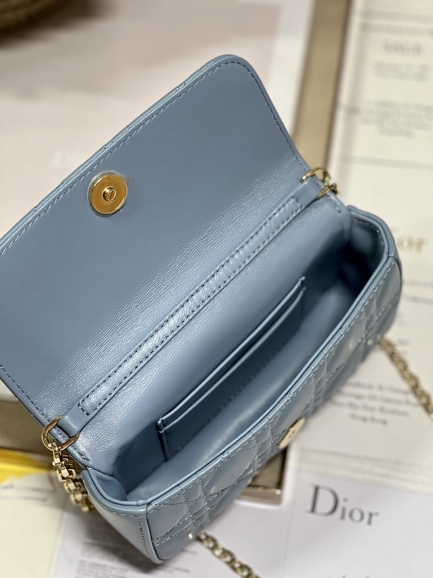 lady D*or phone pouch