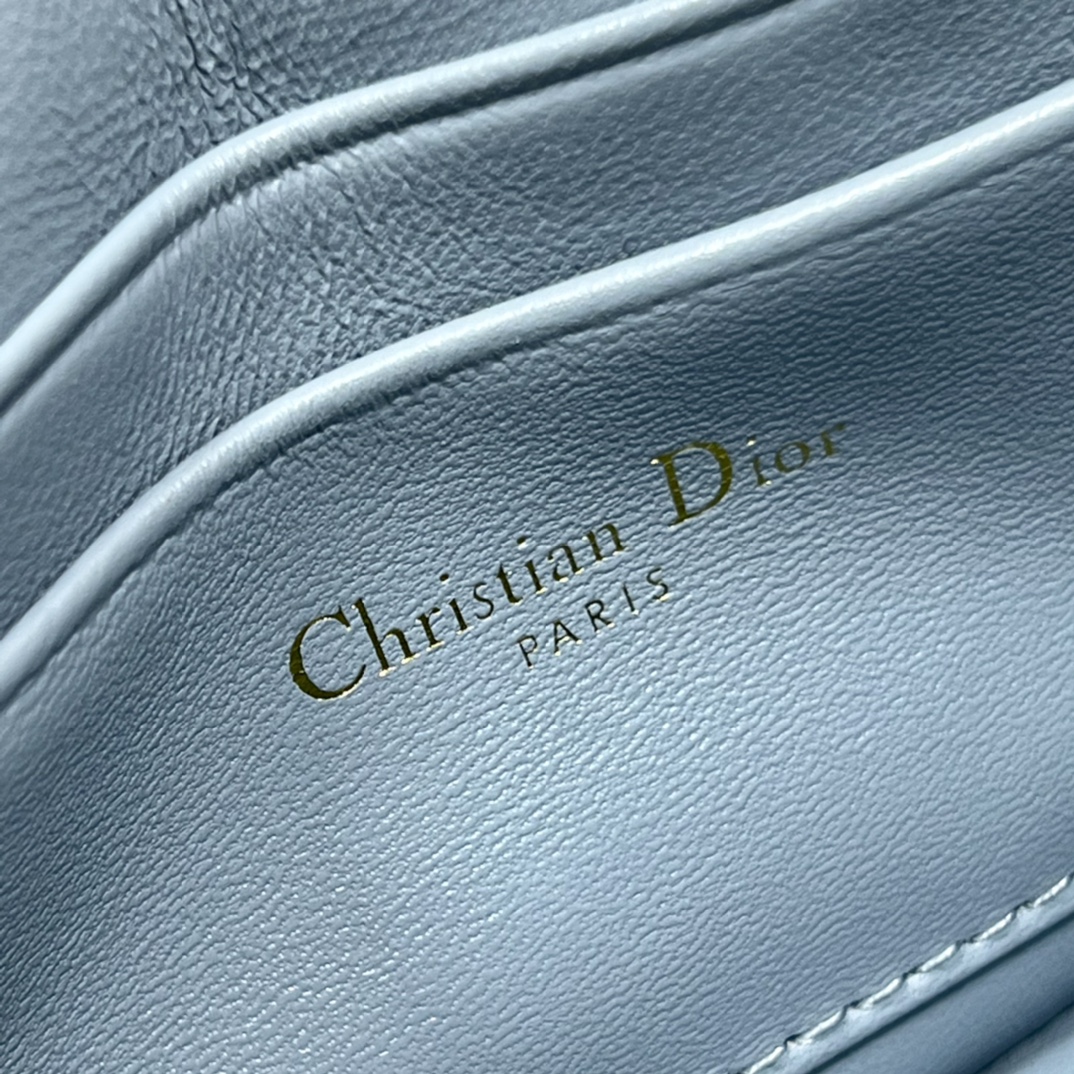 lady D*or phone pouch