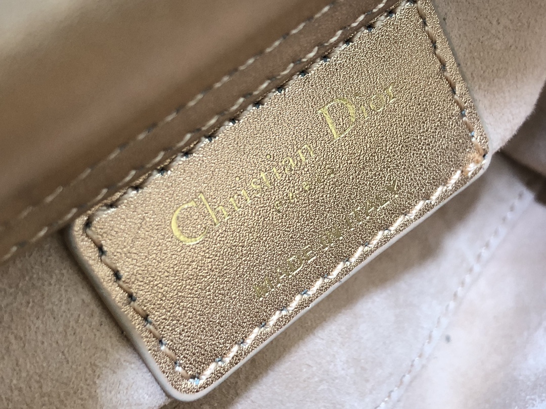lady D*or micro bag