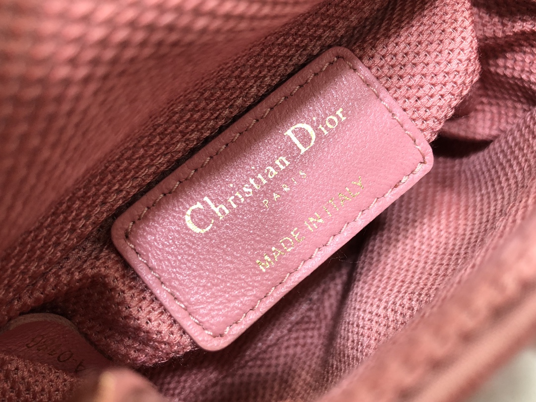 lady D*or micro bag