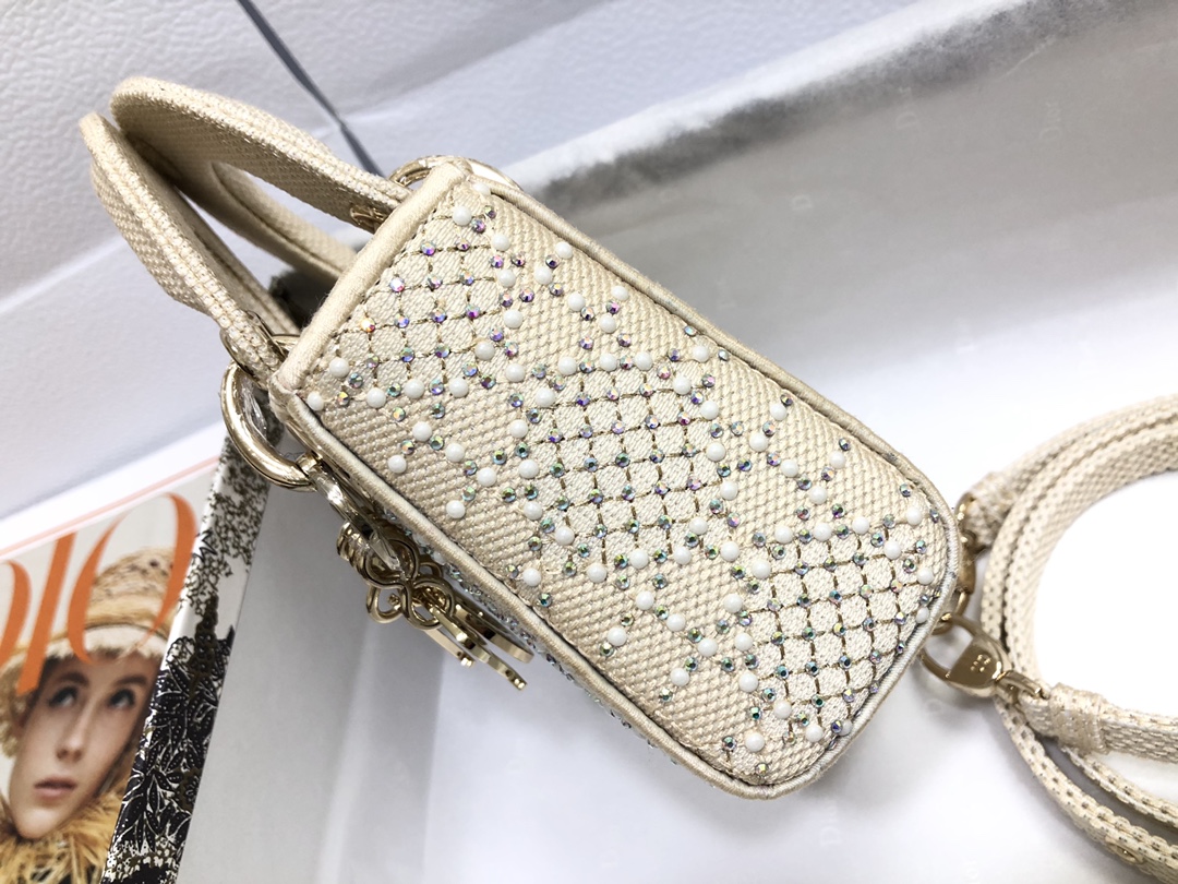 lady D*or micro bag