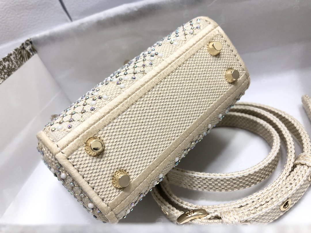 lady D*or micro bag