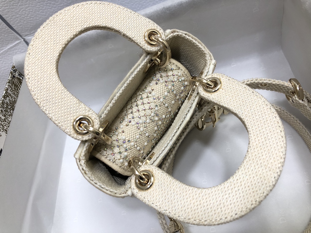 lady D*or micro bag