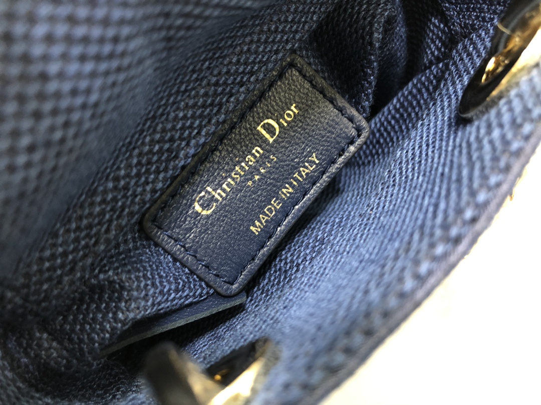 lady D*or micro bag