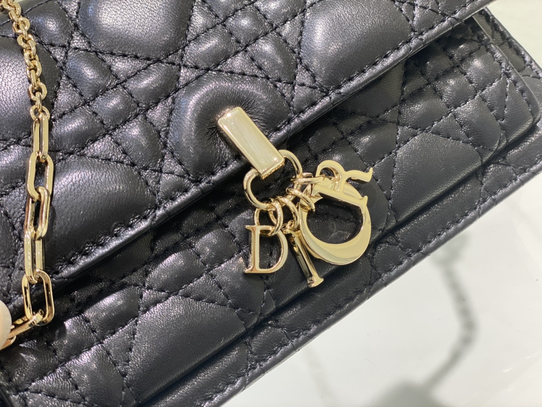 lady D*or chain pouch