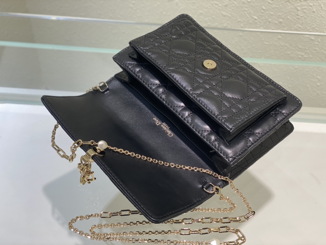 lady D*or chain pouch
