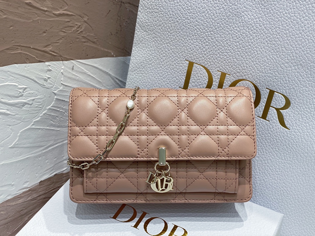 lady D*or chain pouch