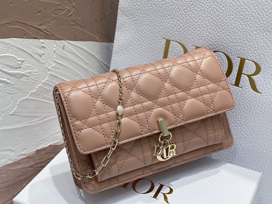 lady D*or chain pouch