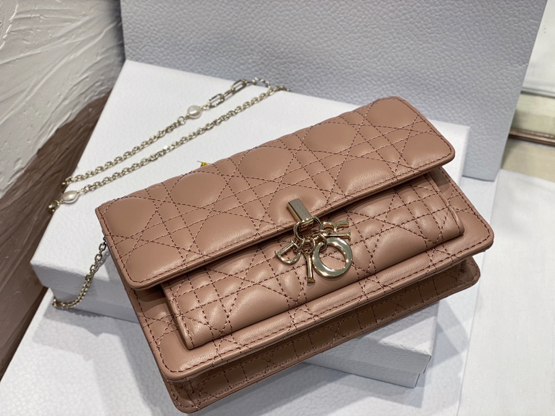 lady D*or chain pouch