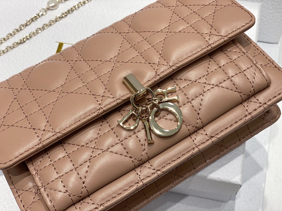 lady D*or chain pouch