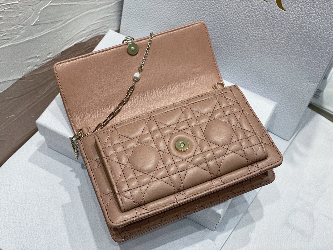 lady D*or chain pouch