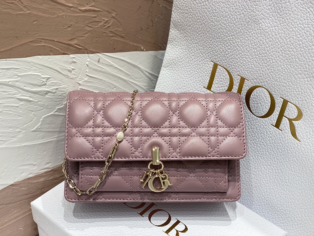 lady D*or chain pouch