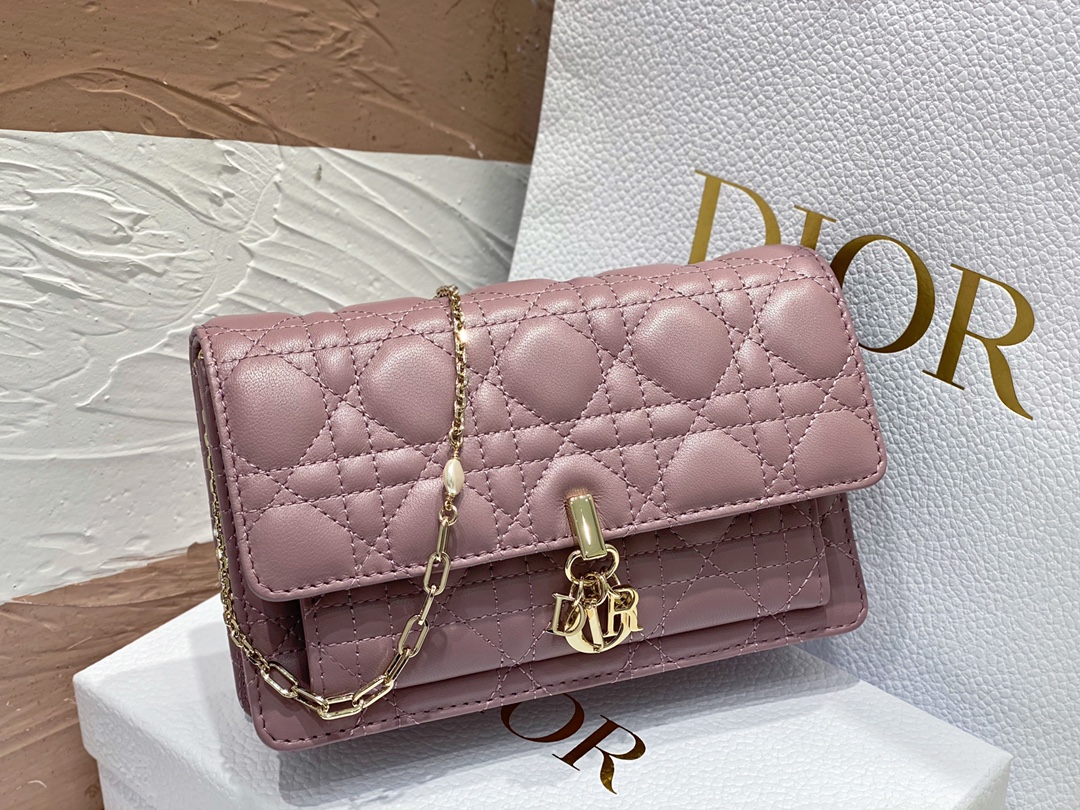 lady D*or chain pouch