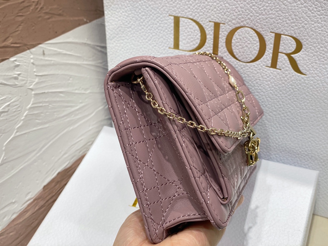 lady D*or chain pouch