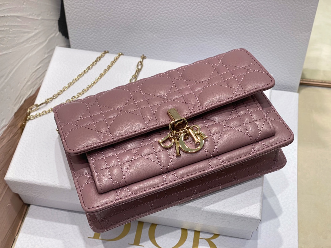 lady D*or chain pouch