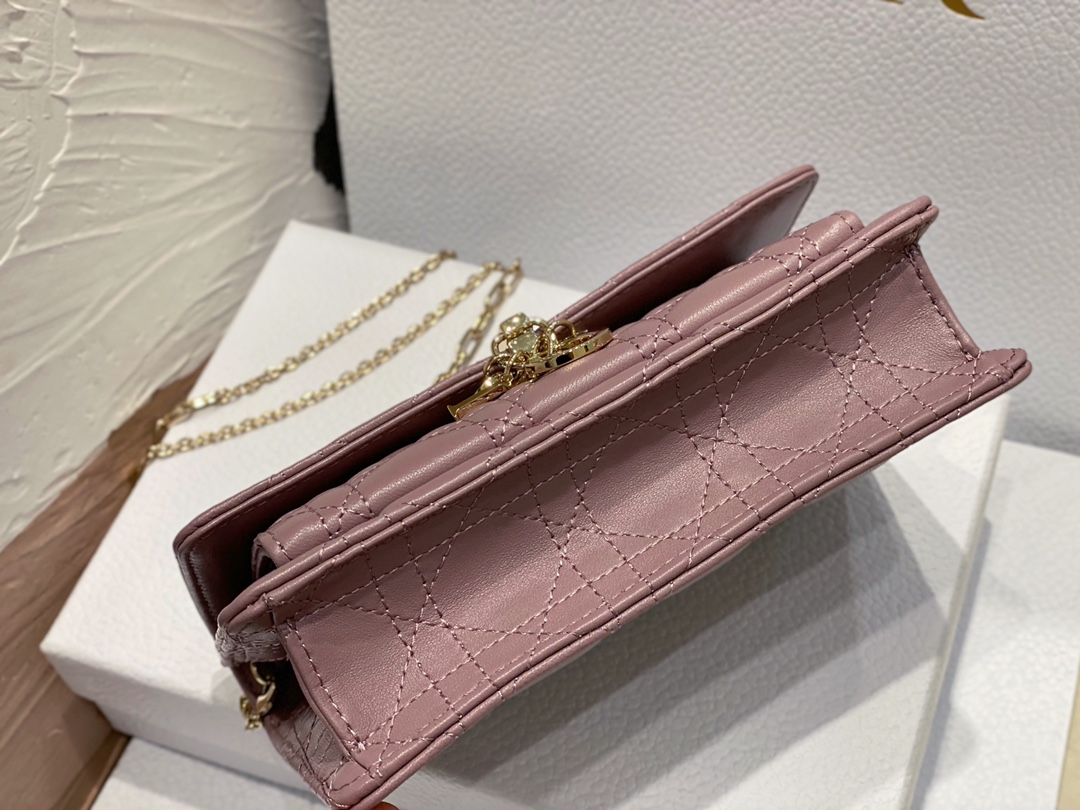 lady D*or chain pouch