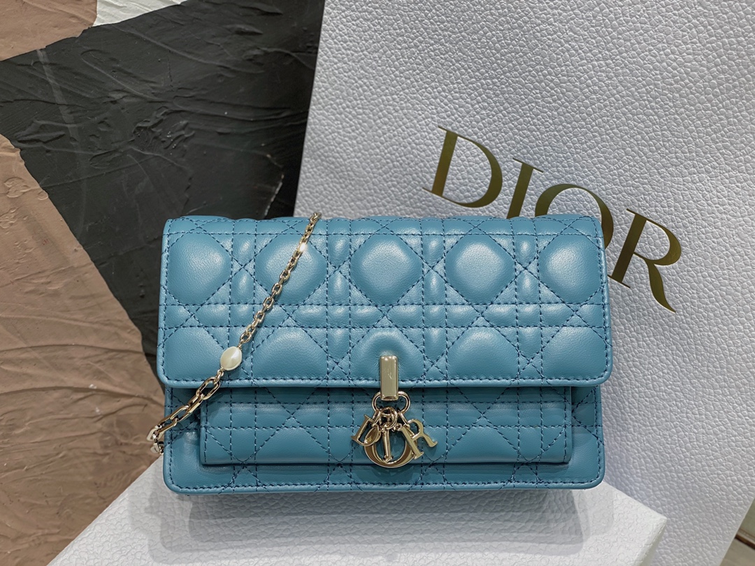 lady D*or chain pouch
