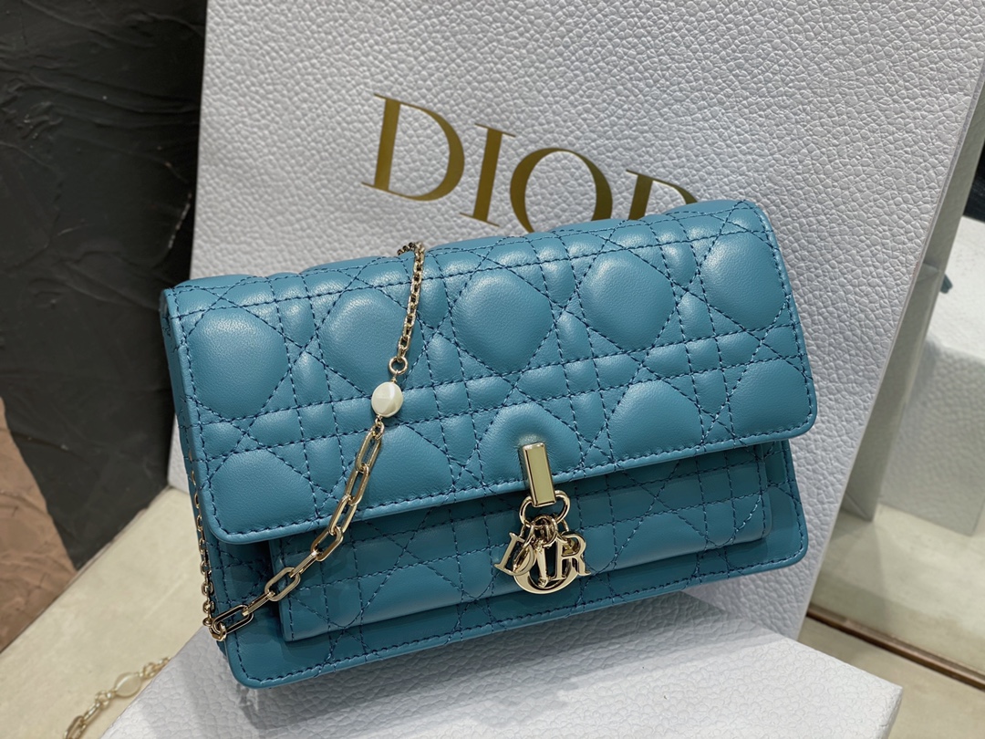 lady D*or chain pouch