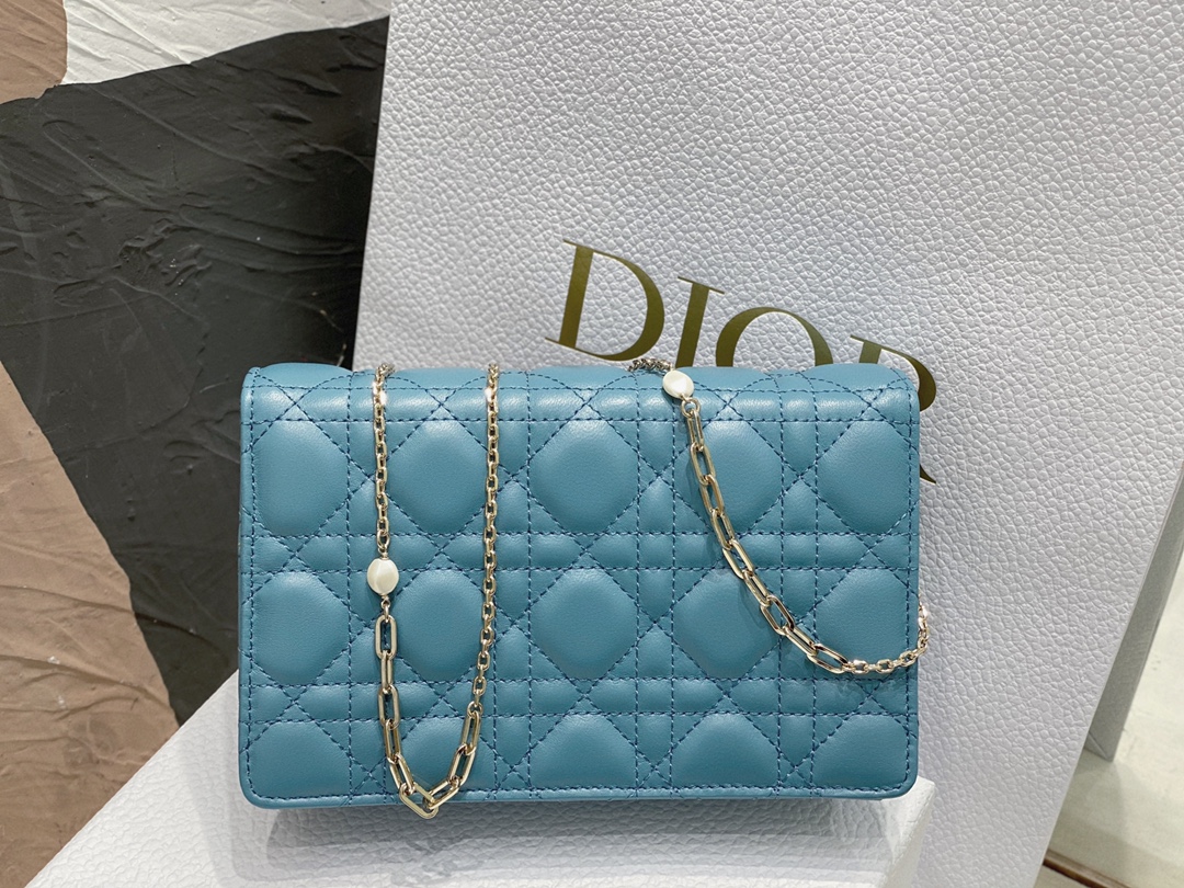 lady D*or chain pouch