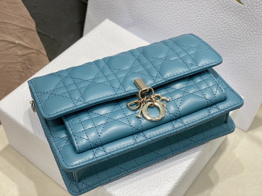 lady D*or chain pouch