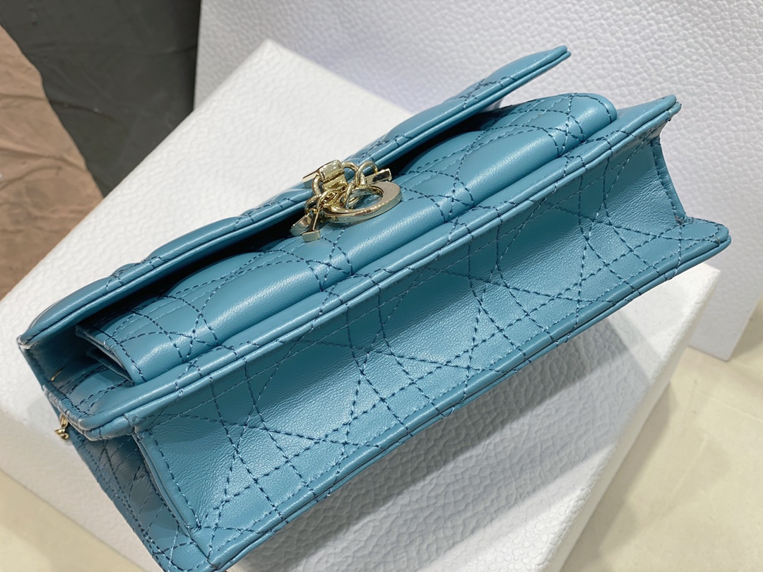 lady D*or chain pouch
