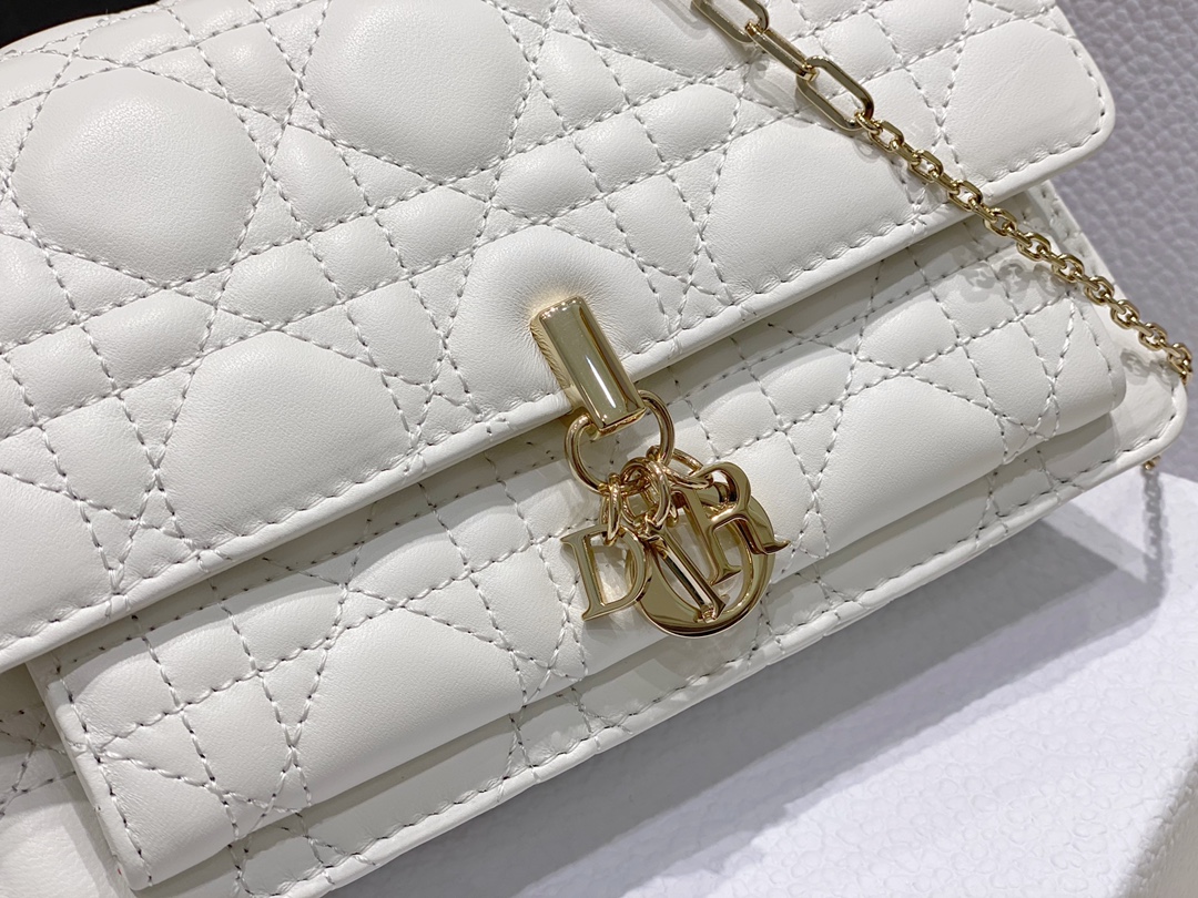 lady D*or chain pouch