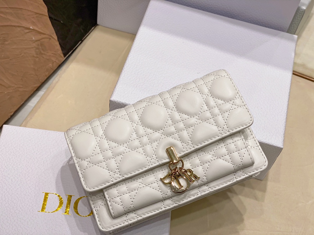 lady D*or chain pouch