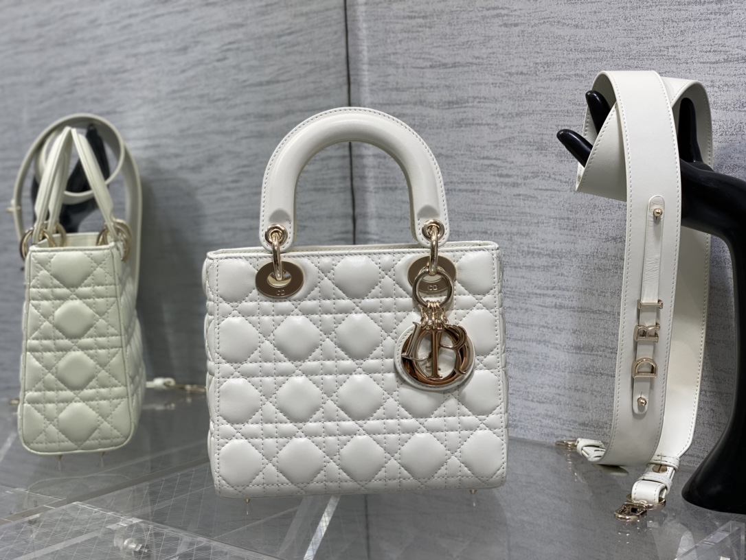 small lady D*or bag