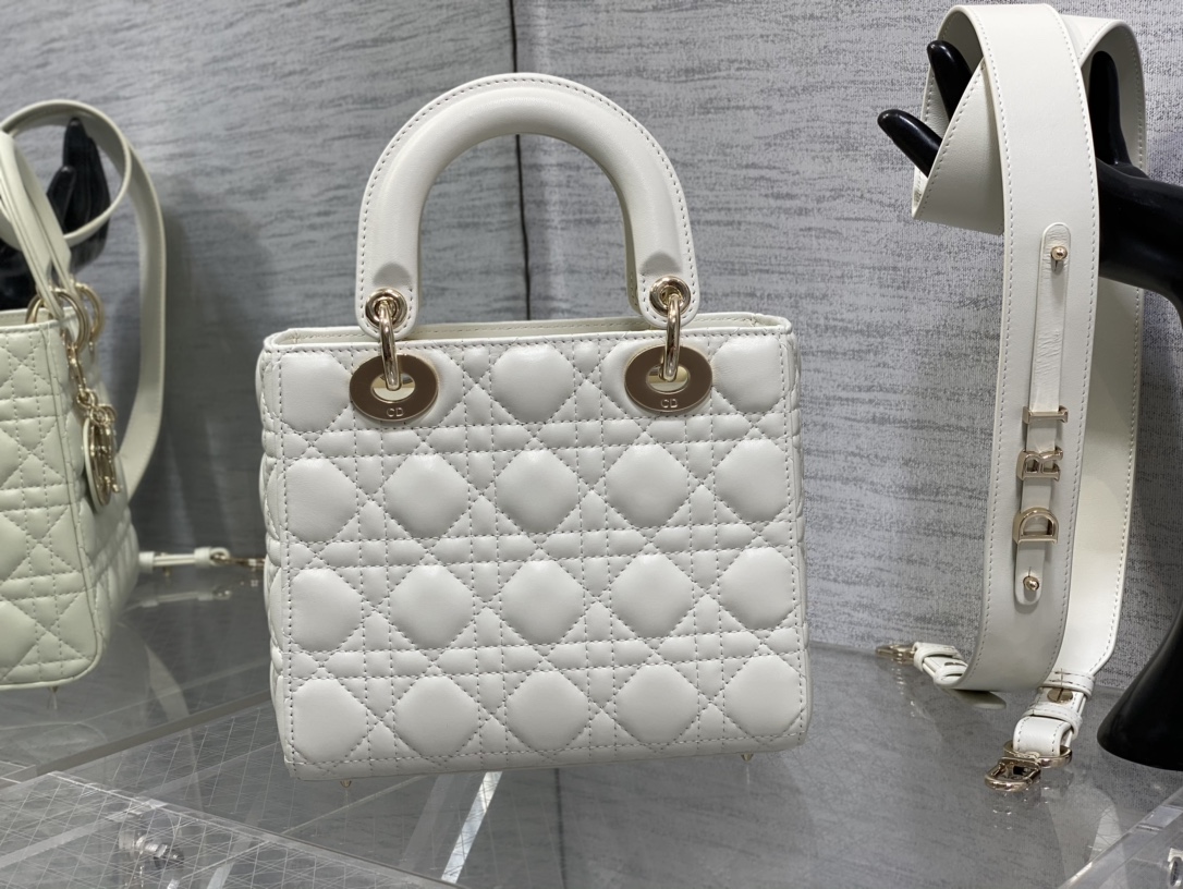 small lady D*or bag