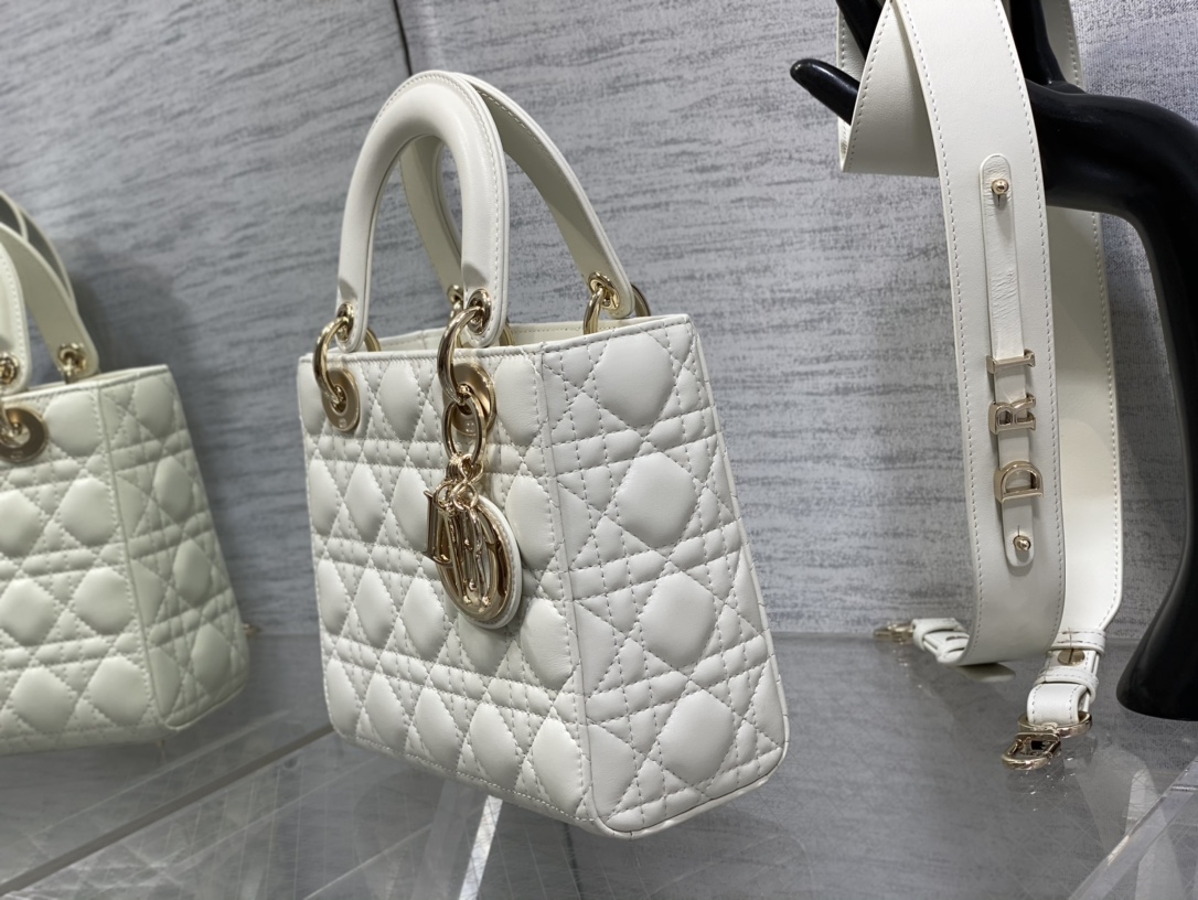 small lady D*or bag