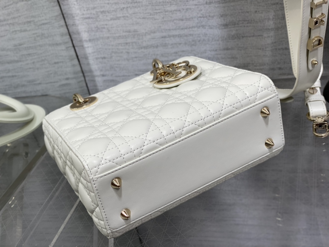 small lady D*or bag