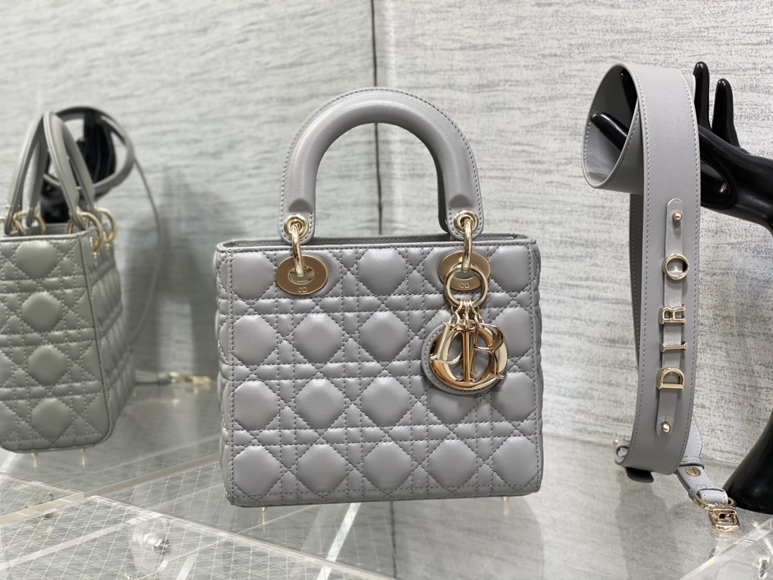 small lady D*or bag