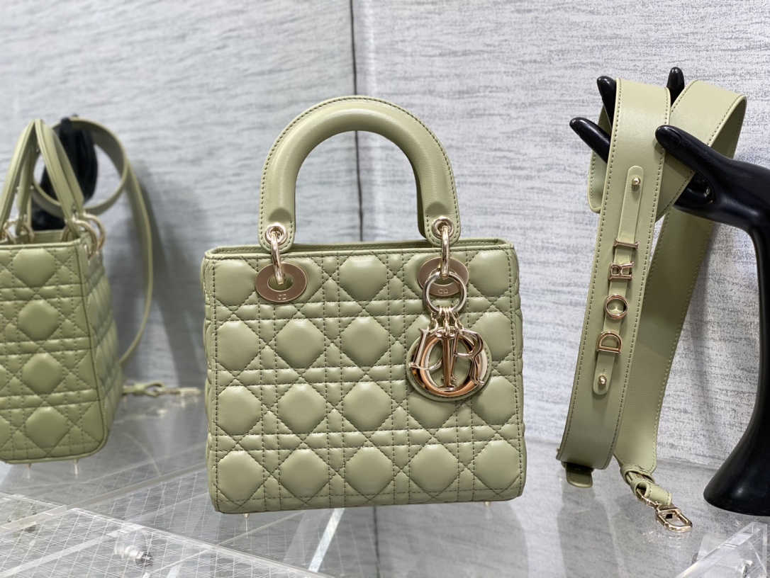 small lady D*or bag