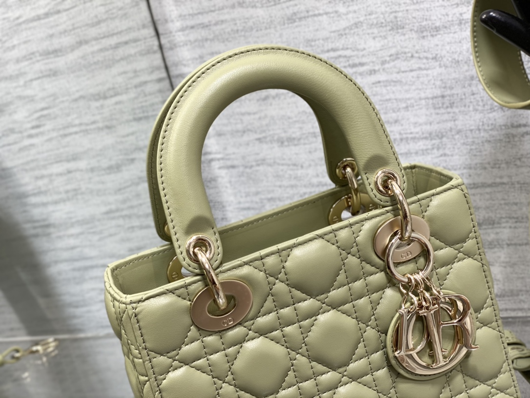 small lady D*or bag