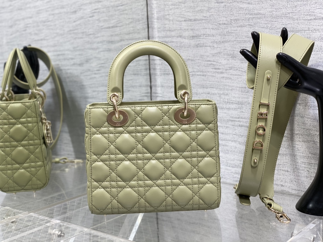 small lady D*or bag