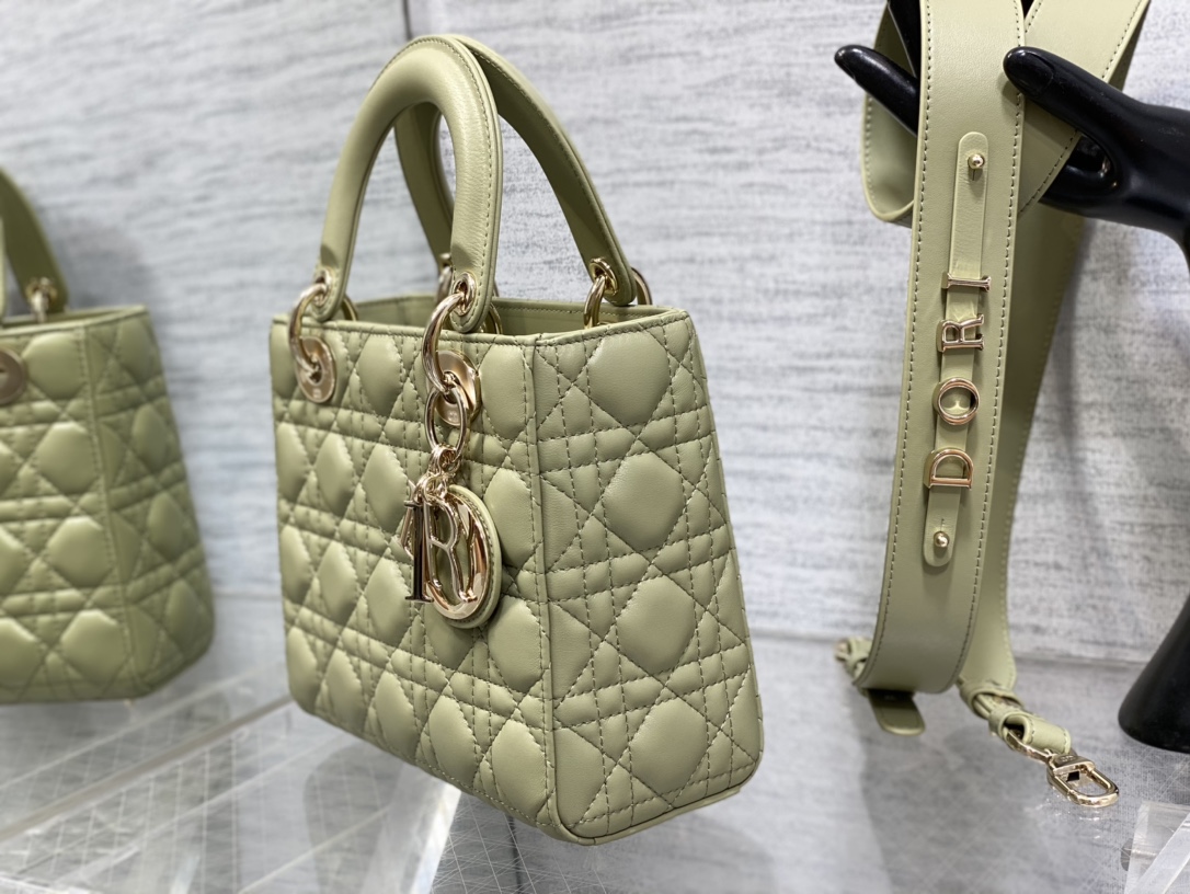 small lady D*or bag