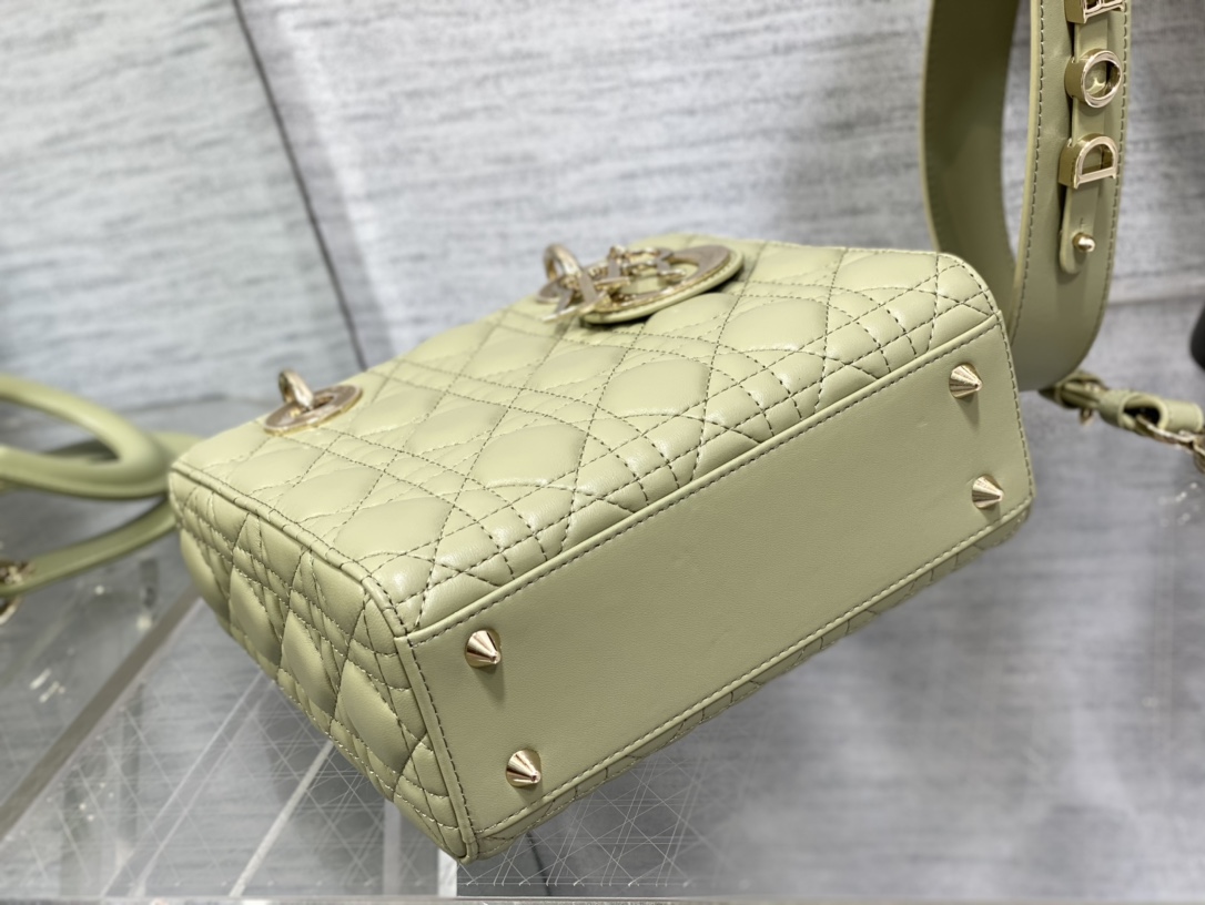 small lady D*or bag