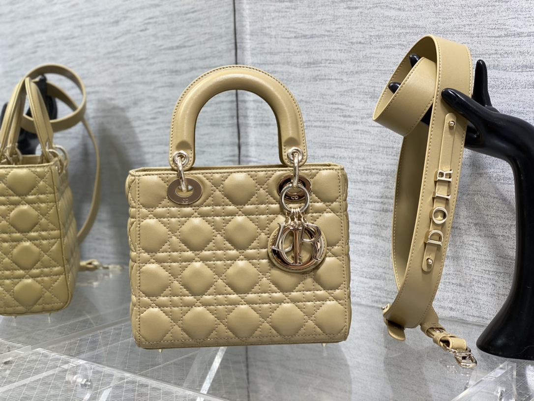 small lady D*or bag