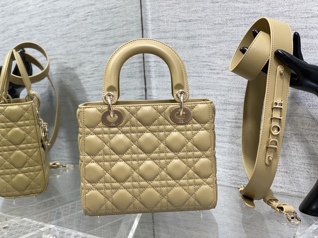 small lady D*or bag